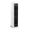FestBerg Cooling Ace Product